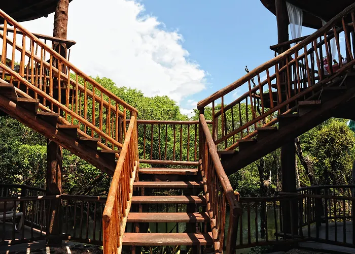 Resort Bel Air Collection & Riviera Maya