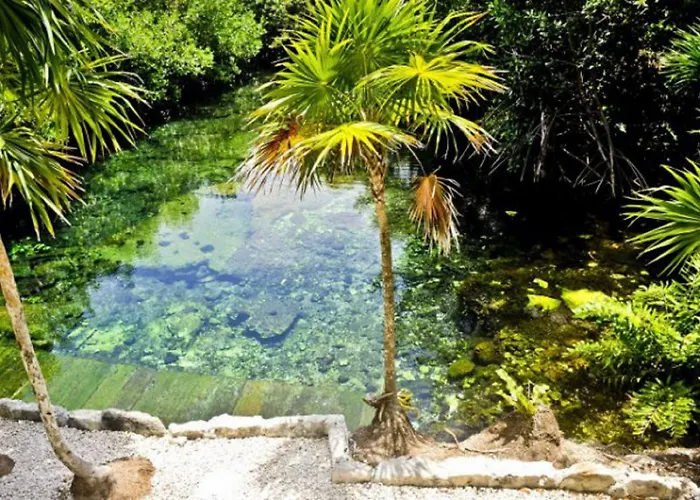 Resort Bel Air Collection & Riviera Maya